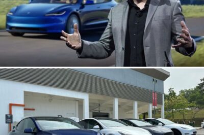 Elon Musk’s Latest Investor Power Play Just Made Suing Tesla Nearly Impossible