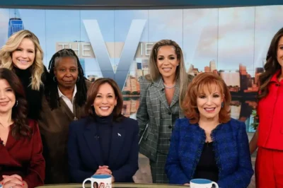 Industry Shake-Up: ABC Reportedly Rethinking ‘The View’ Lineup Amid Backstage Turmoil — Are Whoopi Goldberg and Joy Behar on the Way Out? Network Sources Break Silence on What’s Next for Daytime TV’s Most Controversial Talk Show (NG)