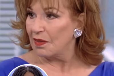 Here’s How Whoopi Reacted After Joy ‘Insulted’ Her Live On The View (NG)