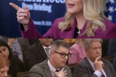 A reporter was fired after insulting Karoline Leavitt on live TV