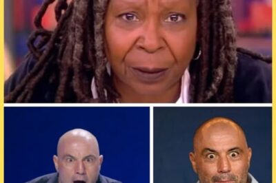 FOX NEWS EXCLUSIVE: Joe Rogan SLAMS Whoopi Goldberg Over Her “Outrageous” Attacks on Elon Musk—“Stop the Lies!”