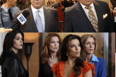 Remember These 31 TV Shows? We All Loved Them — Now They’re Erased from Pop Culture