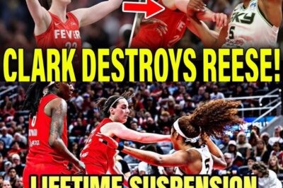 Caitlin Clark PUTS Angel Reese IN HER PLACE As Indiana Fever DESTROY Chicago Sky! (NH)