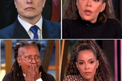 TV ERUPTS IN CHAOS: Sunny Hostin STUNS ‘The View’ Audience by Calling Elon Musk a “Bastard” LIVE On Air — Musk’s Unexpected Response FREEZES the Studio as Joy Behar Scrambles to Apologize — What Sparked the Outburst? Viewers and Execs in Total Shock! (NG)