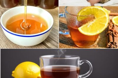 Cinnamon, Lemon, Ginger, and Honey: The Ultimate Natural Boost for Male Vitality