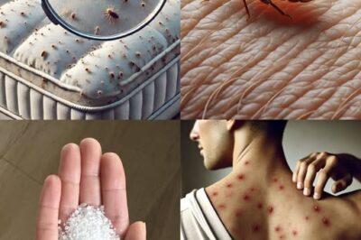 Bedbugs: “Effective and Simple Methods to Completely Eradicate Bedbugs from Your Home and Prevent Their Return”