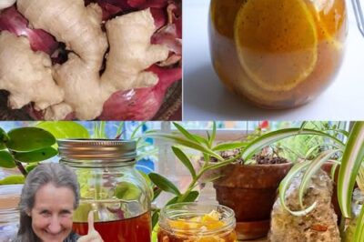 The Power of Ginger, Onion, Garlic, Lemon, and Honey: A Natural Elixir for Vitality