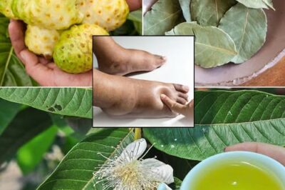 The Ultimate Healing Tonic: A Powerful Drink to Combat Swollen Feet, Diabetes, and Poor Circulation