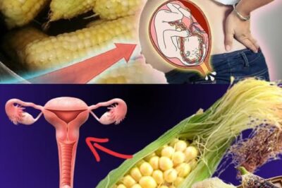 🌽 Corn Silk: The Golden Thread of Natural Healing You’ve Been Overlooking