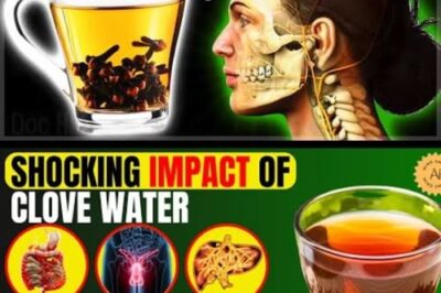 Clove Water Benefits at Night: 15 Incredible Health Advantages You Must Know