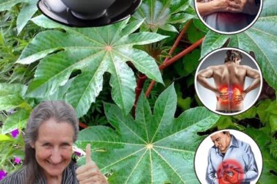 10 Surprising Ways Castor Leaves Can Support Your Natural Wellness Routine