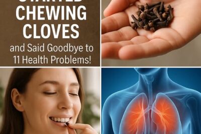 Unlocking the Power of Cloves: Say Goodbye to Health Issues