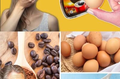 The Surprising Benefits of Combining Eggs and Coffee: A Nutritious and Energizing Pair