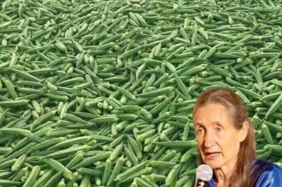 11 Reasons Why You Should Eat Okra Multiple Times a Week