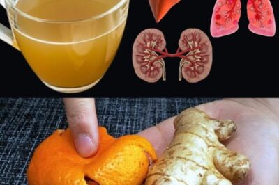 Flush Out Toxins Naturally: Support Your Kidneys, Liver, and Lungs for Vibrant Health