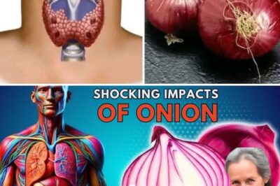 The Surprising Health Benefits of Onions: More Than Just a Kitchen Staple