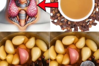 A Natural Remedy for Flu and Colds: Garlic, Ginger, Onion, Lemon Juice, and Honey – The Ultimate Health Boost