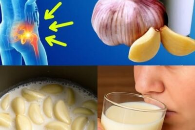 Turmeric Milk: The Ancient Healing Drink Your Modern Life Needs